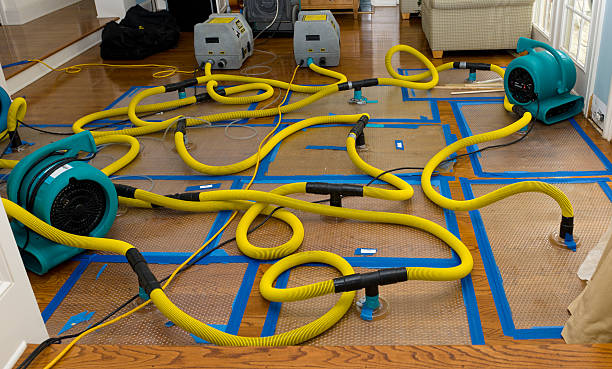 Professional Storm Water Damage Restoration technician working in Lost Creek, PA